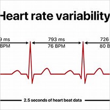 Heart Rate Variability All Articles With Unsourced Statements