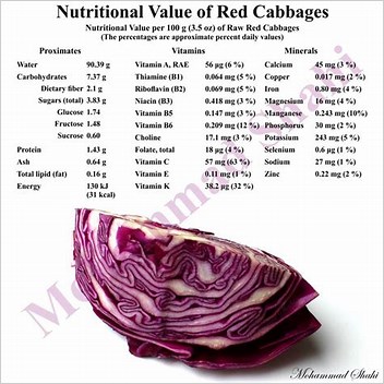 Red Cabbage Nutrition