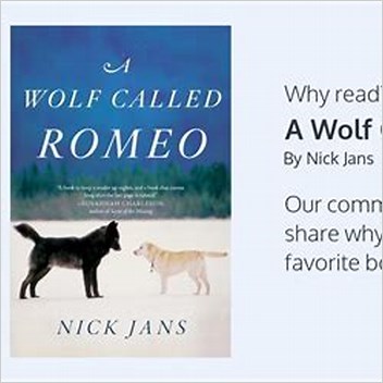 Romeo Wolf External Links And Further Reading